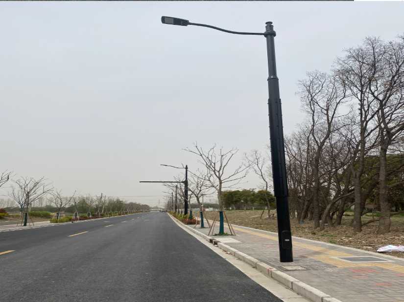 江陵县上海综合杆 太阳能路灯工程